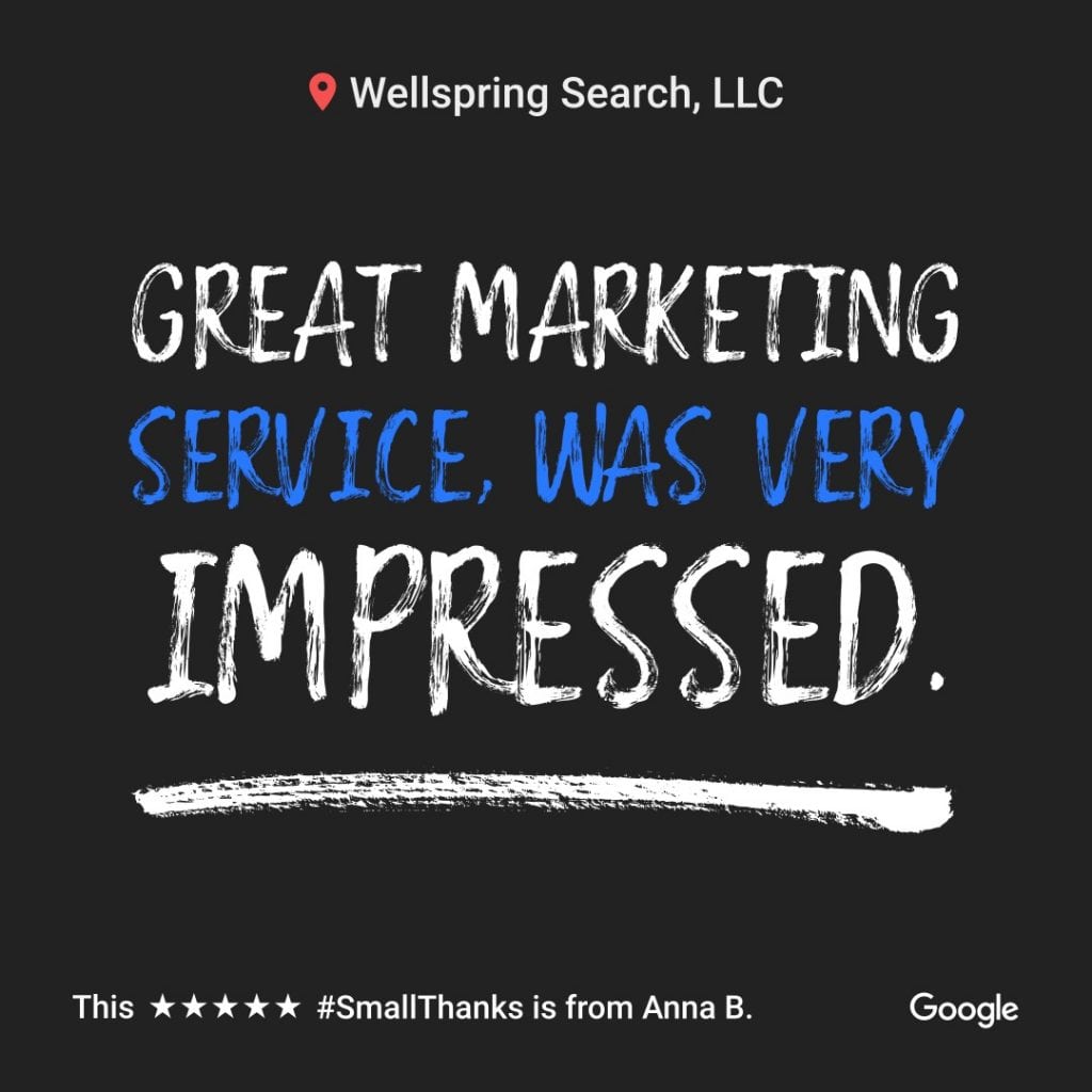 Google Review for Wellspring Search