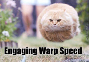 warp-speed-cat