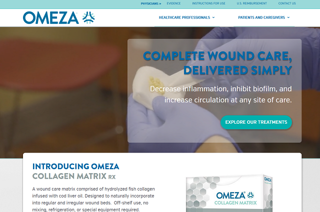 Omeza Florida Web Design Client Sample Website